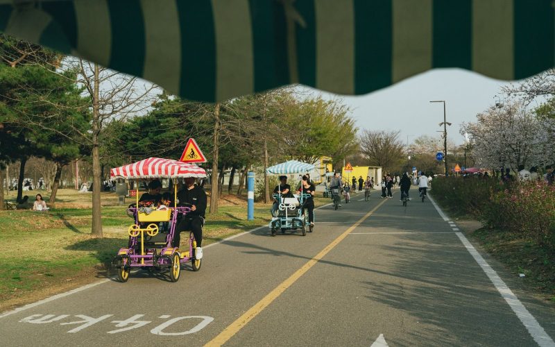 Families enjoy a spring day cycling in a beautiful Seoul park.